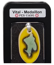 Charger l'image dans la visionneuse de la galerie, Pen Yang - Vital-Medaillon - Jaune/Bleu