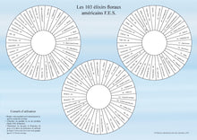 Charger l'image dans la visionneuse de la galerie, Planche BFS
