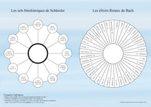 Charger l'image dans la visionneuse de la galerie, Planche BFS